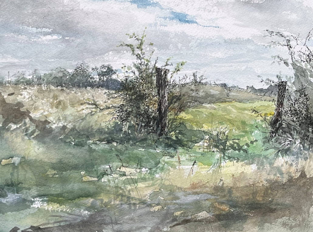 2026-Sint Michelsgestel Weide-2-aquarel en pen-23x31cm